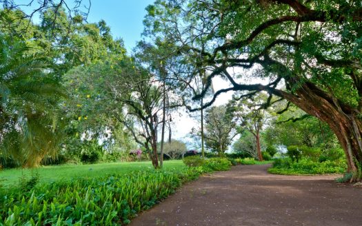 Oaklands Ayanna Waters