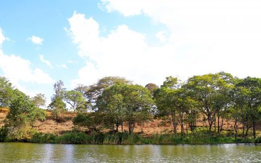 Kofinaf Tatu Residences